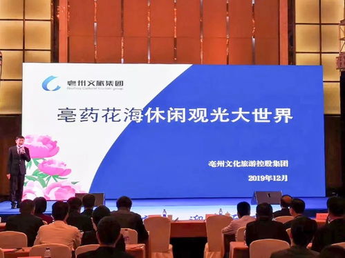 亳州旅游开发项目亮相2019年安徽粤港澳大湾区文化旅游推介会