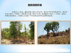 柬埔寨西哈努克港80公顷旅游地产开发项目推荐